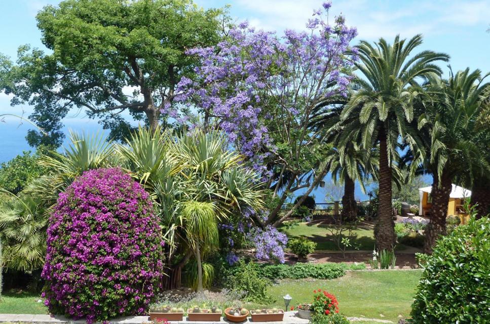 Finca Casa Vieja Hotel Santa Ursula  Luaran gambar