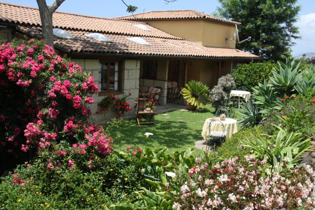 Finca Casa Vieja Hotel Santa Ursula  Luaran gambar